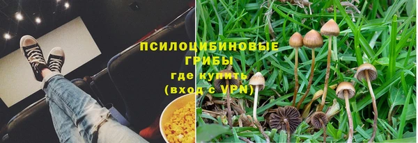 сатива Абаза