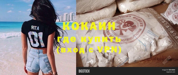 хмурый Алзамай
