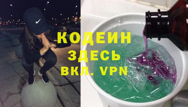 хмурый Алзамай