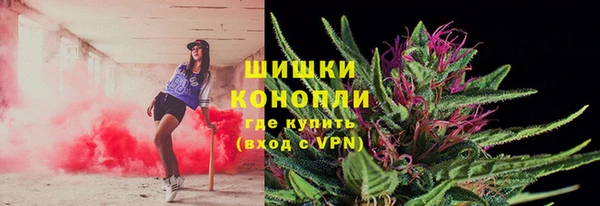 сатива Абаза